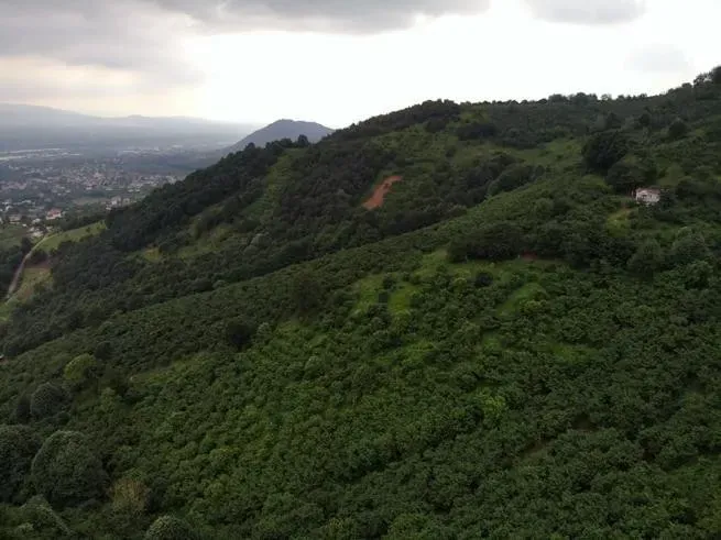 Sahibinden Şerefiye'de 10.489m2 İmarlı Satılık Arsa
