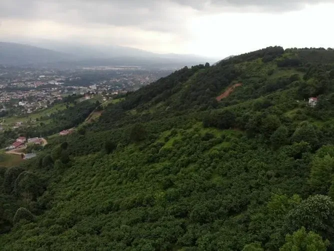 Sahibinden Şerefiye'de 10.489m2 İmarlı Satılık Arsa