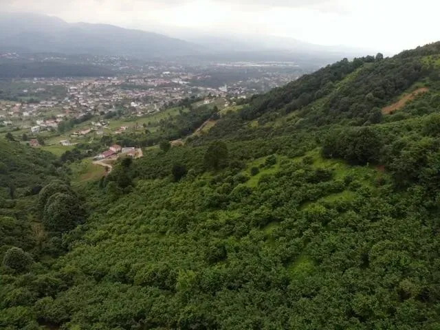 Sahibinden Şerefiye'de 10.489m2 İmarlı Satılık Arsa