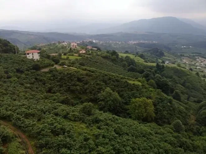 Sahibinden Şerefiye'de 10.489m2 İmarlı Satılık Arsa