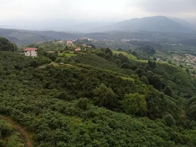 Sahibinden Şerefiye'de 10.489m2 İmarlı Satılık Arsa