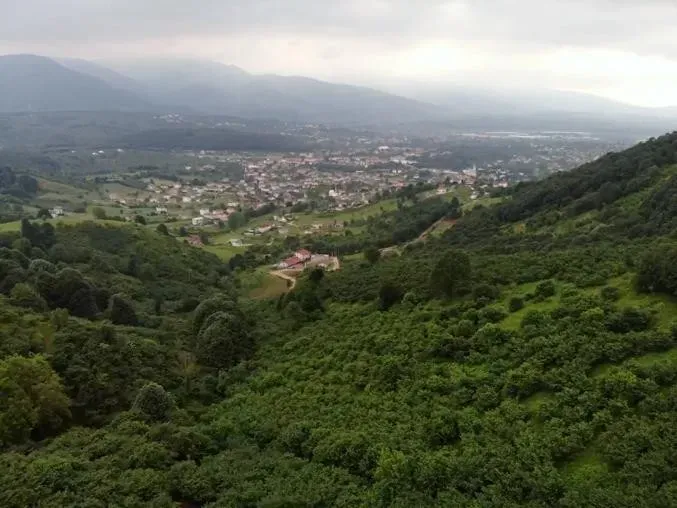 Sahibinden Şerefiye'de 10.489m2 İmarlı Satılık Arsa