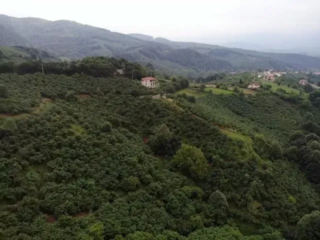 Sahibinden Şerefiye'de 10.489m2 İmarlı Satılık Arsa