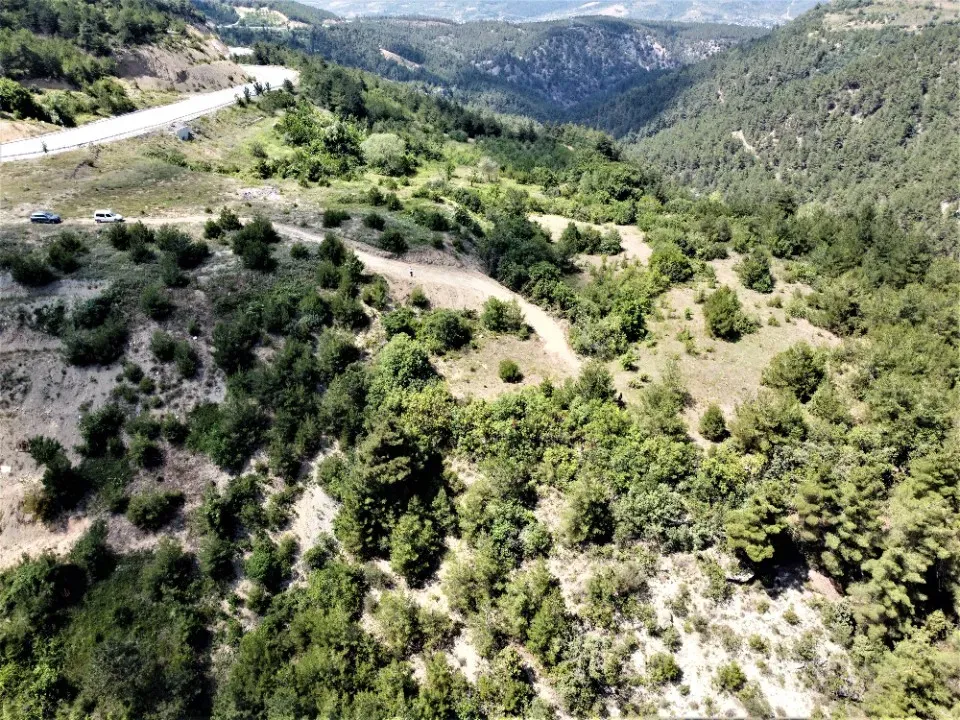 AVCI EMLAK'TAN HESAPLI AHİBABA'DA TİNY HOUSE İÇİN UYGUN ULAŞIMI KOLAY 1409 m2