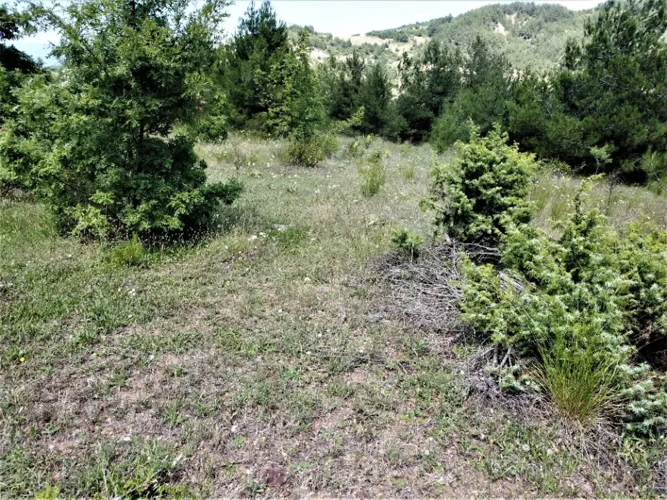 AVCI EMLAK'TAN HESAPLI AHİBABA'DA TİNY HOUSE İÇİN UYGUN ULAŞIMI KOLAY 1409 m2