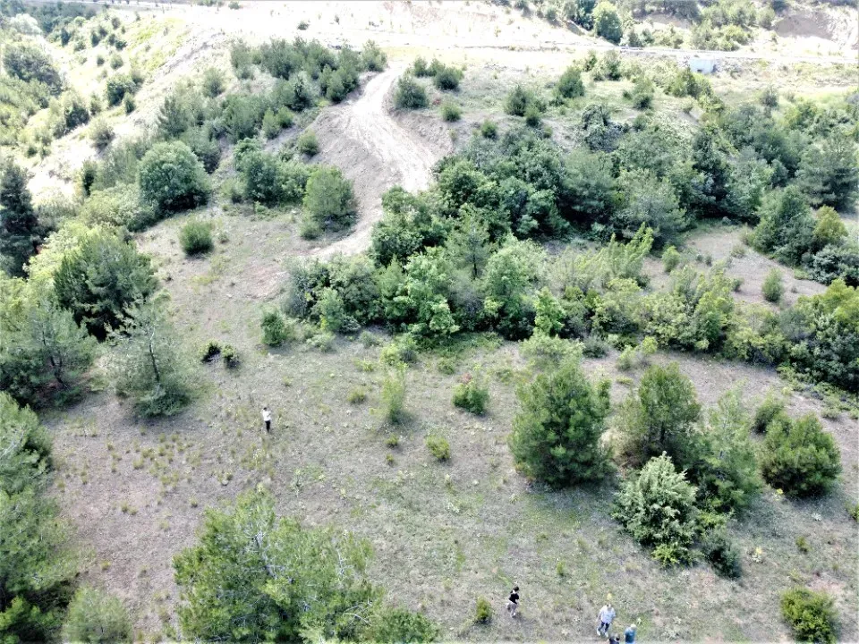 AVCI EMLAK'TAN HESAPLI AHİBABA'DA TİNY HOUSE İÇİN UYGUN ULAŞIMI KOLAY 1409 m2