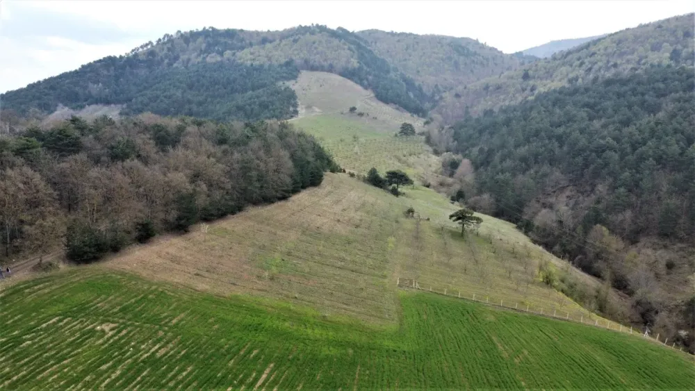 AVCI EMLAK'TAN GEYVE AHİBABA'DA TARIMSAL İMARA UYGUN 4357 m2 YATIRIMLIK ARAZİ