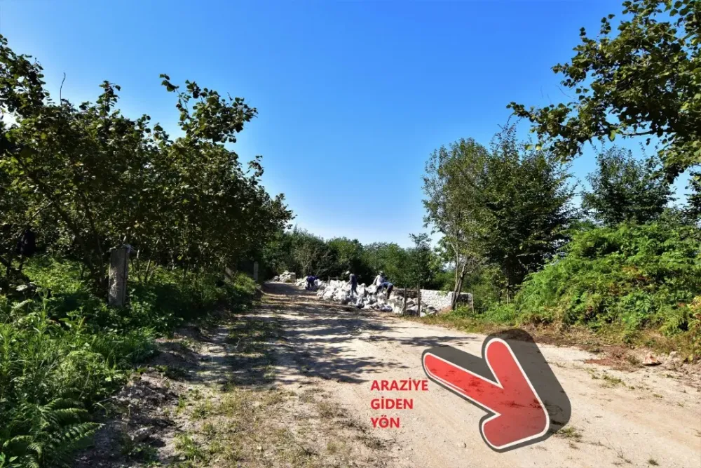 SAKARYA SAPANCA MEMNUNİYE'DE DOĞA İÇİNDE ARSA