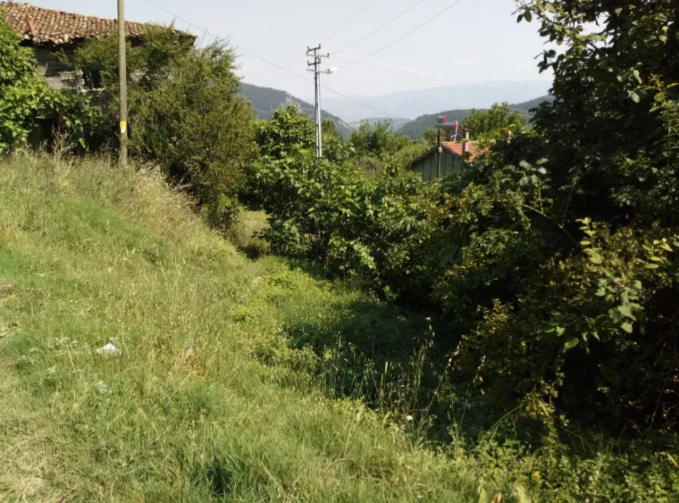 AVCI EMLAK'TAN GEYVE İLÇESİ MELEKŞESOLAK KÖYÜ'DE MANZARALI % 40 İMARLI 1116 m2 ARSA