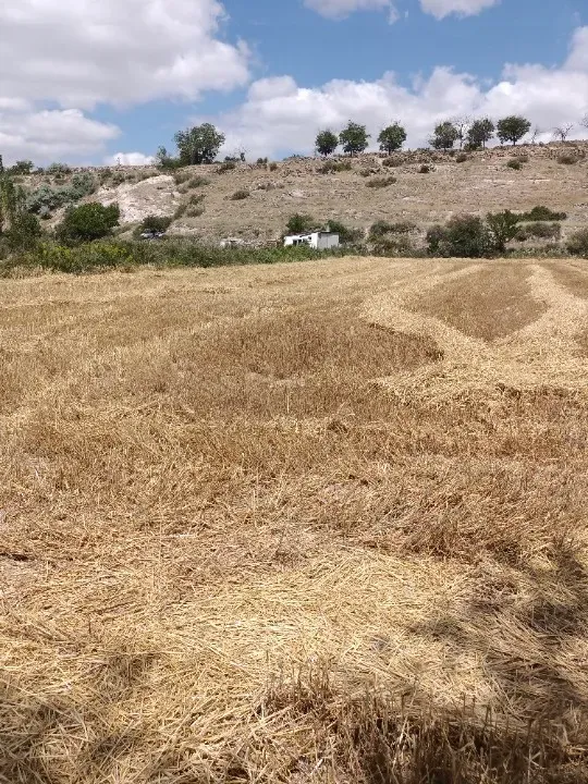 KAYSERİ - GESSİ - KAYABAĞI MAHALLESİNDESATILIK TARLA