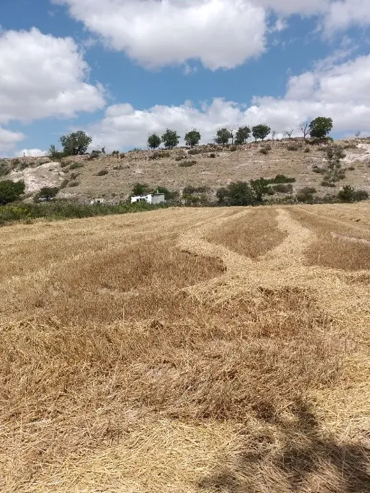 KAYSERİ - GESSİ - KAYABAĞI MAHALLESİNDESATILIK TARLA