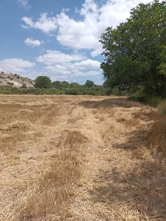 KAYSERİ - GESSİ - KAYABAĞI MAHALLESİNDESATILIK TARLA