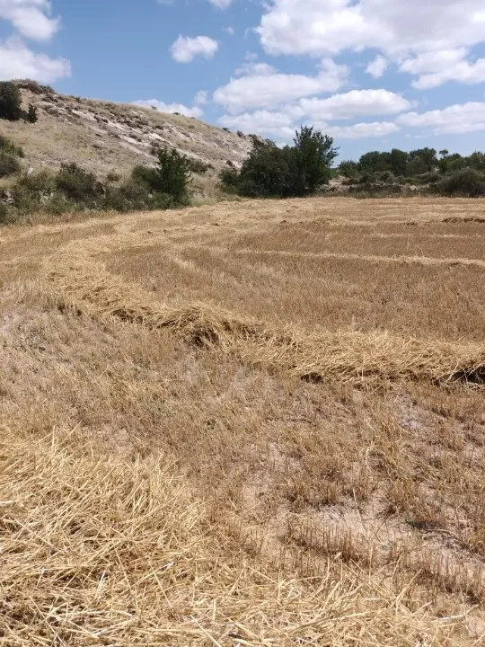 KAYSERİ - GESSİ - KAYABAĞI MAHALLESİNDESATILIK TARLA