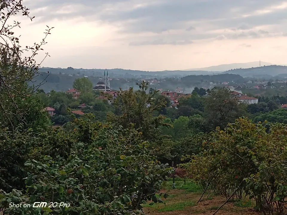 5 DÖNÜM İKİ KADASTRAL YOLA CEPHELİ FINDIK BAHÇESi