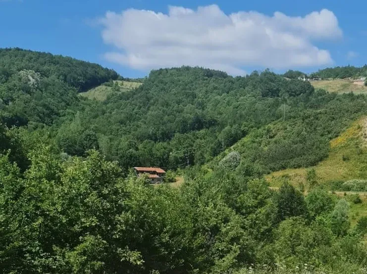 ANAYOL KENARI SATILIK KONUT İMARLI ARSA