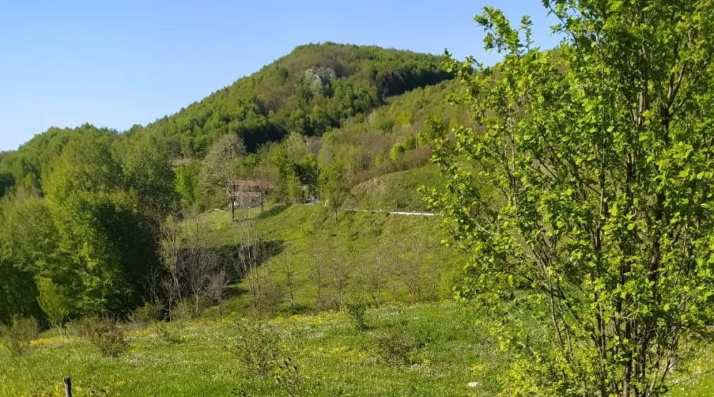 GEYVE KAMIŞLIDA SATILIK ARSA