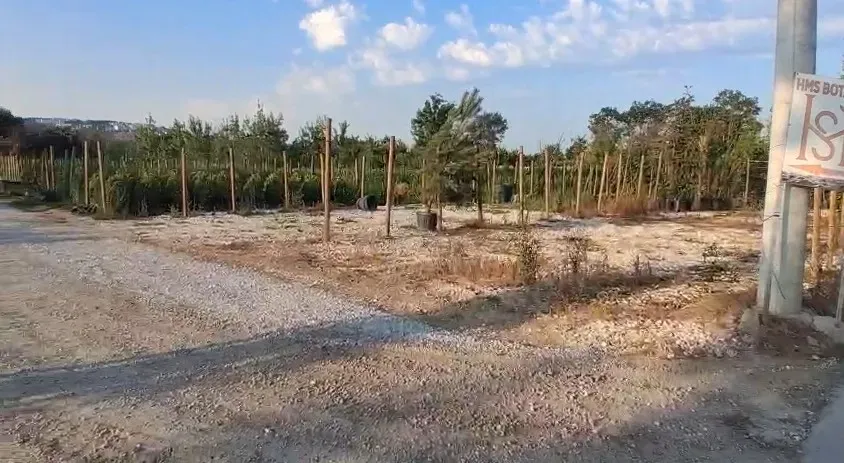 Fidan ve Süs Bitkisi Üretimine Uygun Tarla