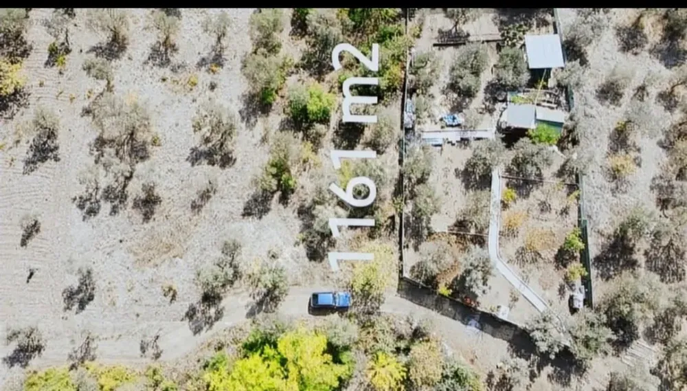 BAKMADAN GEÇMEYİN....DOĞA İLE BAŞBAŞA 1.161M2 FIRSAT ZEYTİNLİK