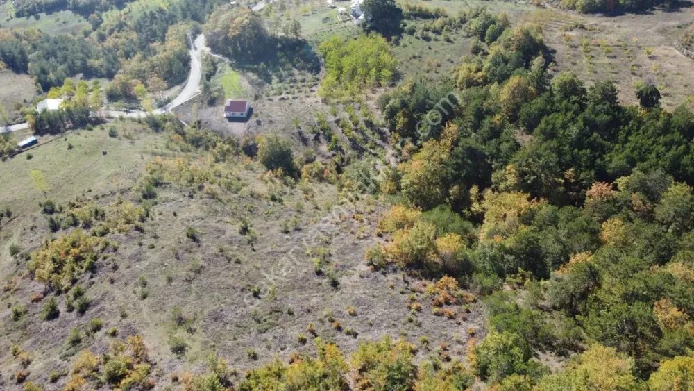 PAMUKOVA KADIKÖY MAH.8069 M2 FIRSAT ARAZİ