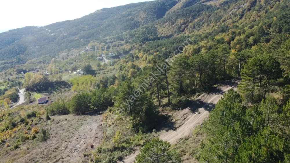 PAMUKOVA KADIKÖY MAH.8069 M2 FIRSAT ARAZİ