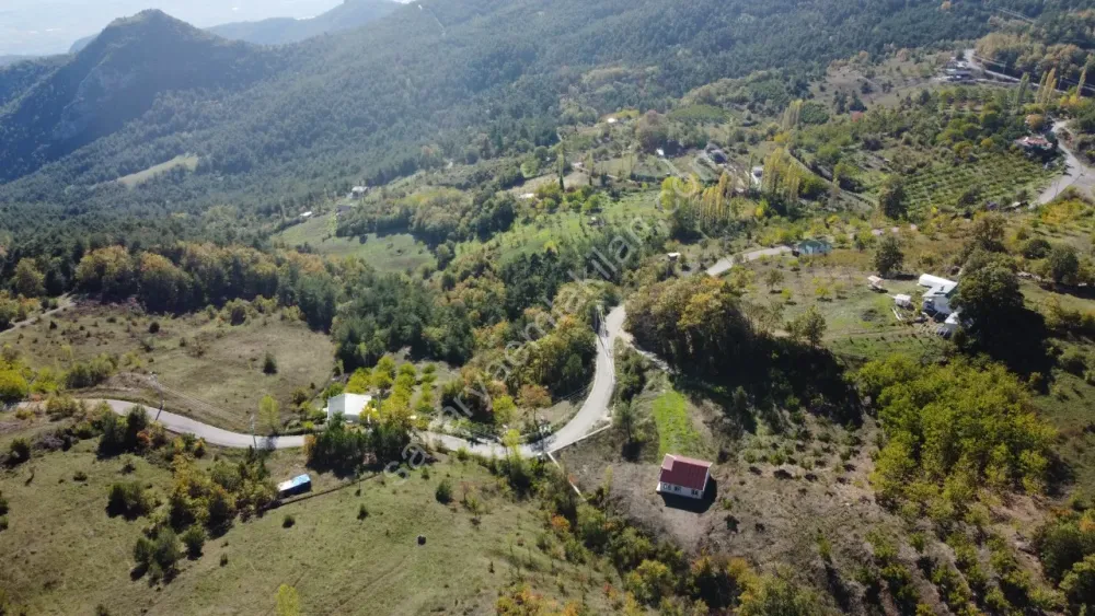 PAMUKOVA KADIKÖY MAH.8069 M2 FIRSAT ARAZİ