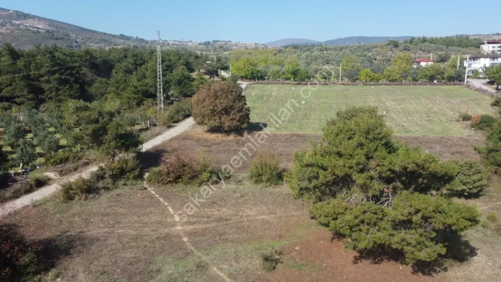 SAKARYA GEYVE DÜZAKÇAŞEHİR MAH.350 M2 KONUT İMARLI ARSA