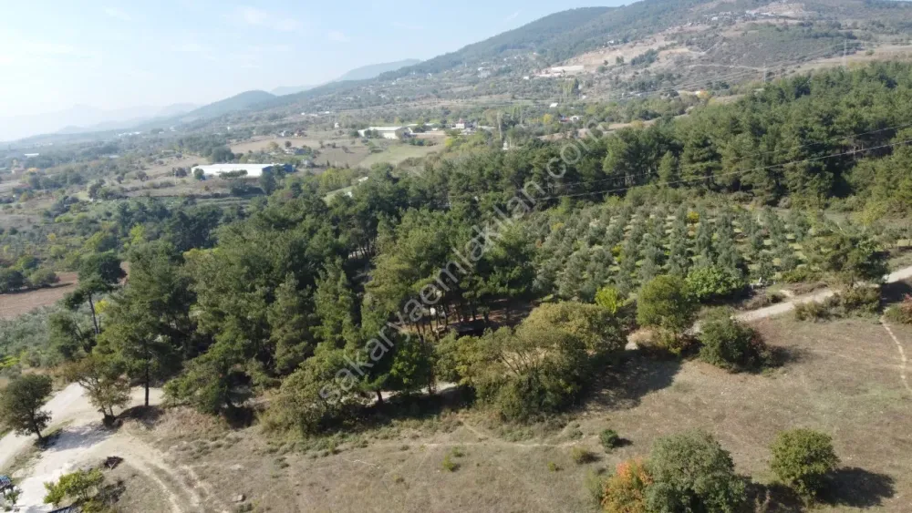 SAKARYA GEYVE DÜZAKÇAŞEHİR MAH.350 M2 KONUT İMARLI ARSA