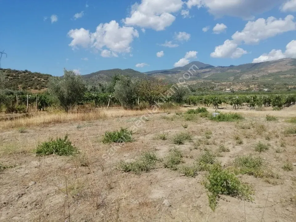 PAMUKOVA'DA  SATILIK TARLA