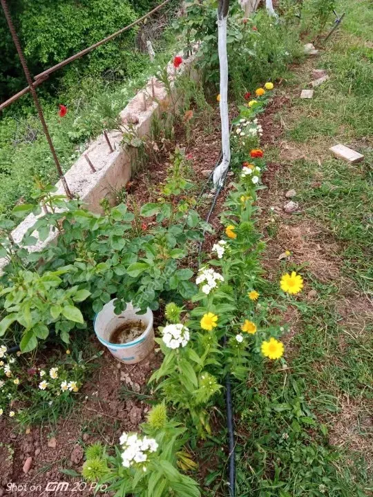 SAKARYA PAMUKOVA BAKACAK MAH.SATILIK KÖY EVİ