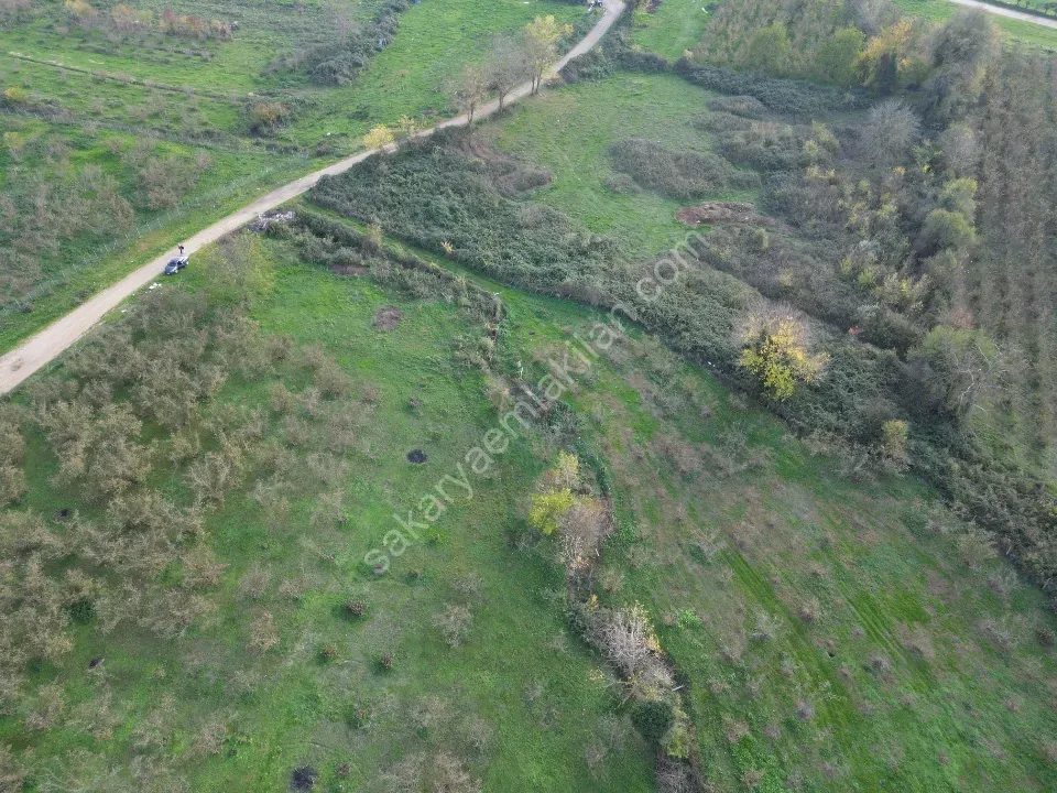 Yatırıma Uygun 670 m² Arsa – Doğa İçinde, İmarı Yeni Açılmış Bölge