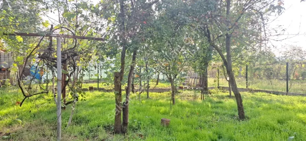 AKYAZI EMLAKTAN KÖY MERKEZİNDE 570 M2 GENİŞ ARSA ÜZERİNDE MÜSTAKİL EV