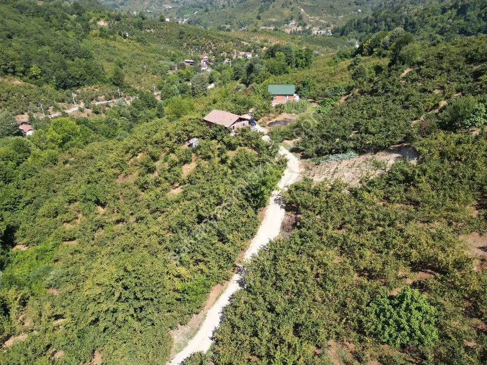 Hem Eviniz, Hem Bahçeniz Olsun Sakaryada Kaçmaz Fırsat