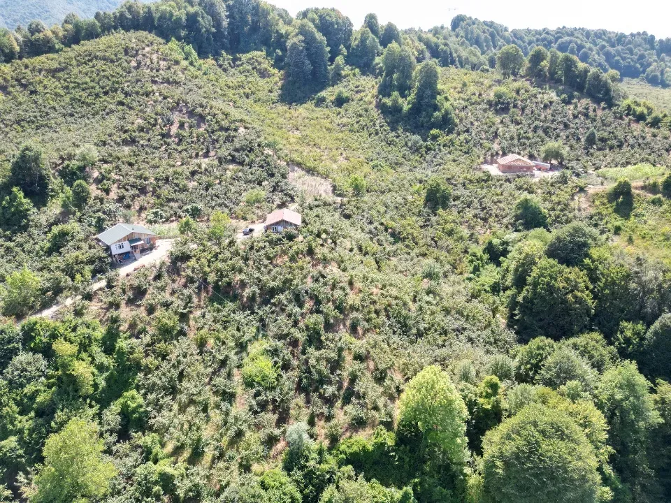 Hem Eviniz, Hem Bahçeniz Olsun Sakaryada Kaçmaz Fırsat