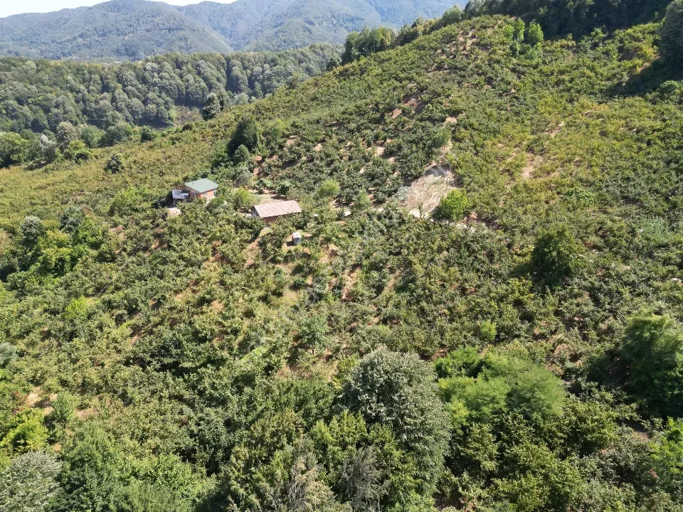 Hem Eviniz, Hem Bahçeniz Olsun Sakaryada Kaçmaz Fırsat