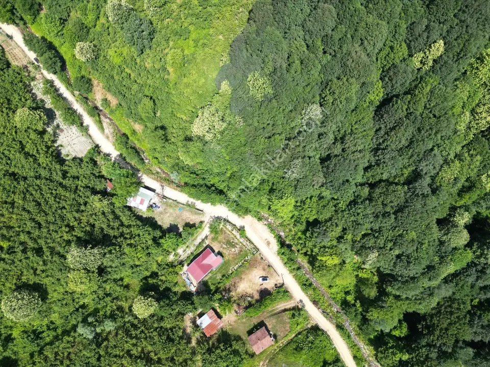 Sessizlik ve Doğa Arayanlara Özel Müstakil Yaşam Fırsatı