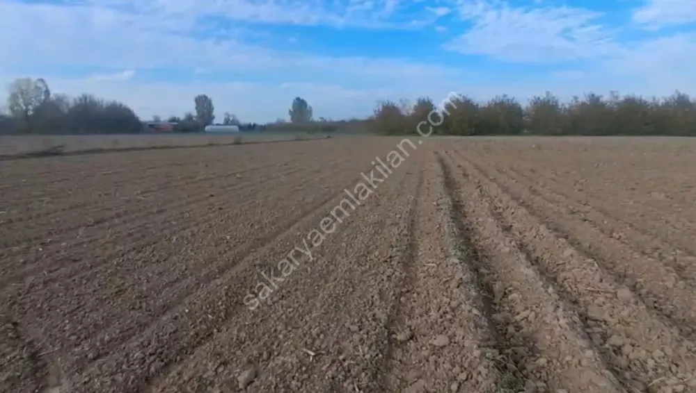 HACIKÖY'DE SATILIK FIRSAT  TARLA