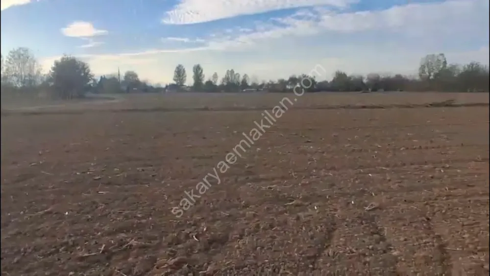 HACIKÖY'DE SATILIK FIRSAT  TARLA