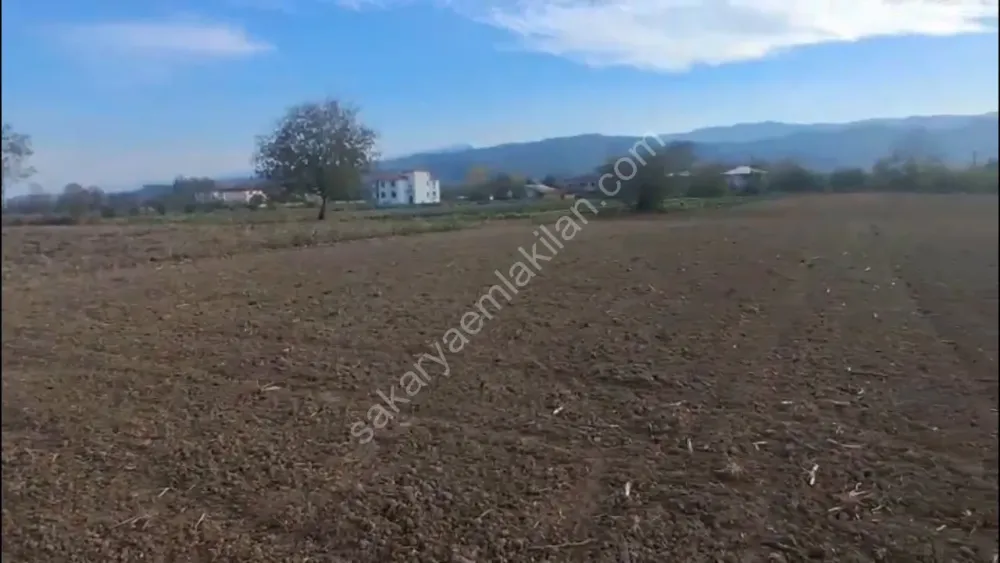 HACIKÖY'DE SATILIK FIRSAT  TARLA