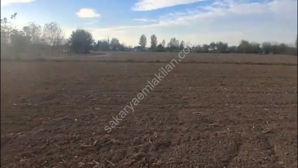 HACIKÖY'DE SATILIK FIRSAT  TARLA