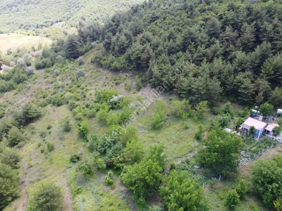 GEYVE OKUL MAH. MERKEZE YAKIN 1052 m² MANZARALI ETRAFI ÇEVRİLİ TAM HOBİ BAHÇELİK