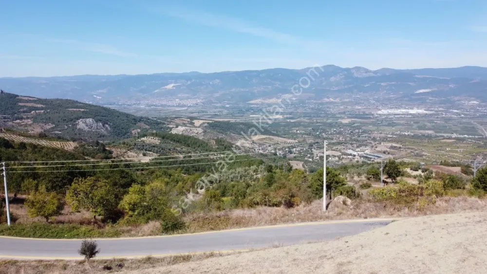 GEYVE CECELER KÖYÜNDE 508 m² ASFALTA CEPHE ELEKTRİK SU DİBİNDE HOBİ BAHÇESİ