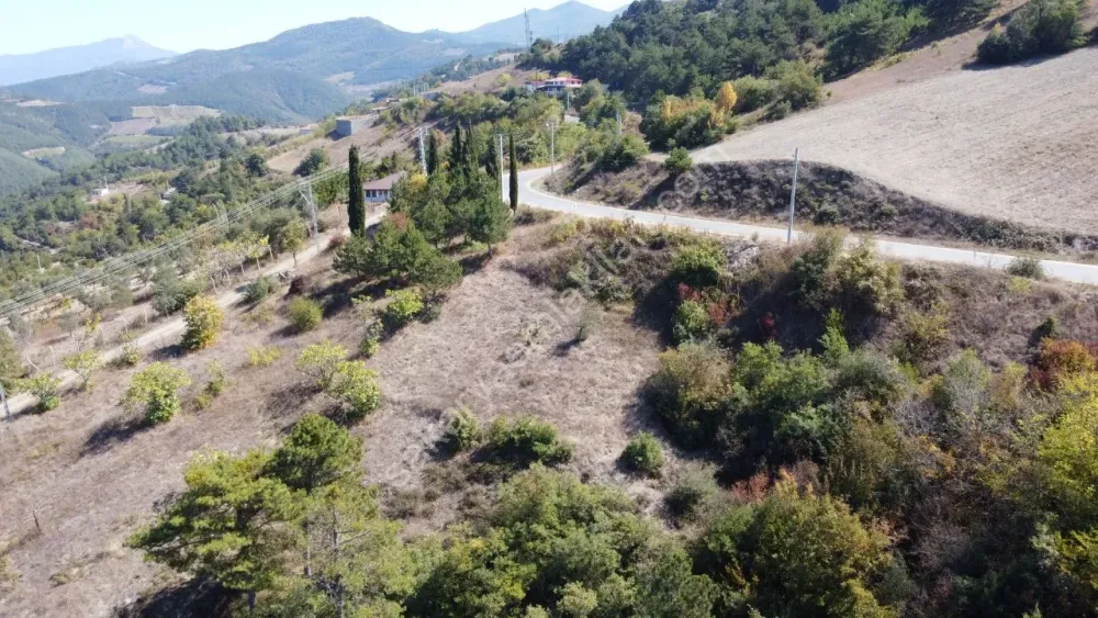 GEYVE CECELER KÖYÜNDE 508 m² ASFALTA CEPHE ELEKTRİK SU DİBİNDE HOBİ BAHÇESİ