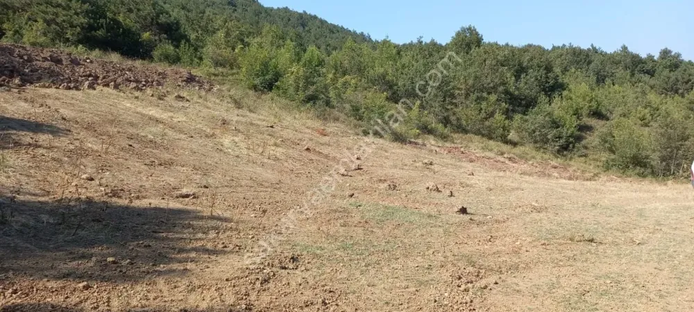 GEYVE KÖPRÜBAŞI MAHALLESİNDE 1845 m² MANZARALI TİNY HOUSE VE BUNGALOW İÇİN İDEAL YATIRIMLIK ARAZİ