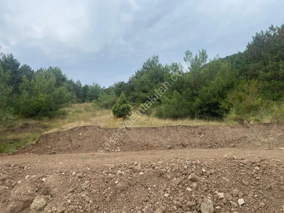 GEYVE KÖPRÜBAŞI MAHALLESİNDE 1845 m² MANZARALI TİNY HOUSE VE BUNGALOW İÇİN İDEAL YATIRIMLIK ARAZİ