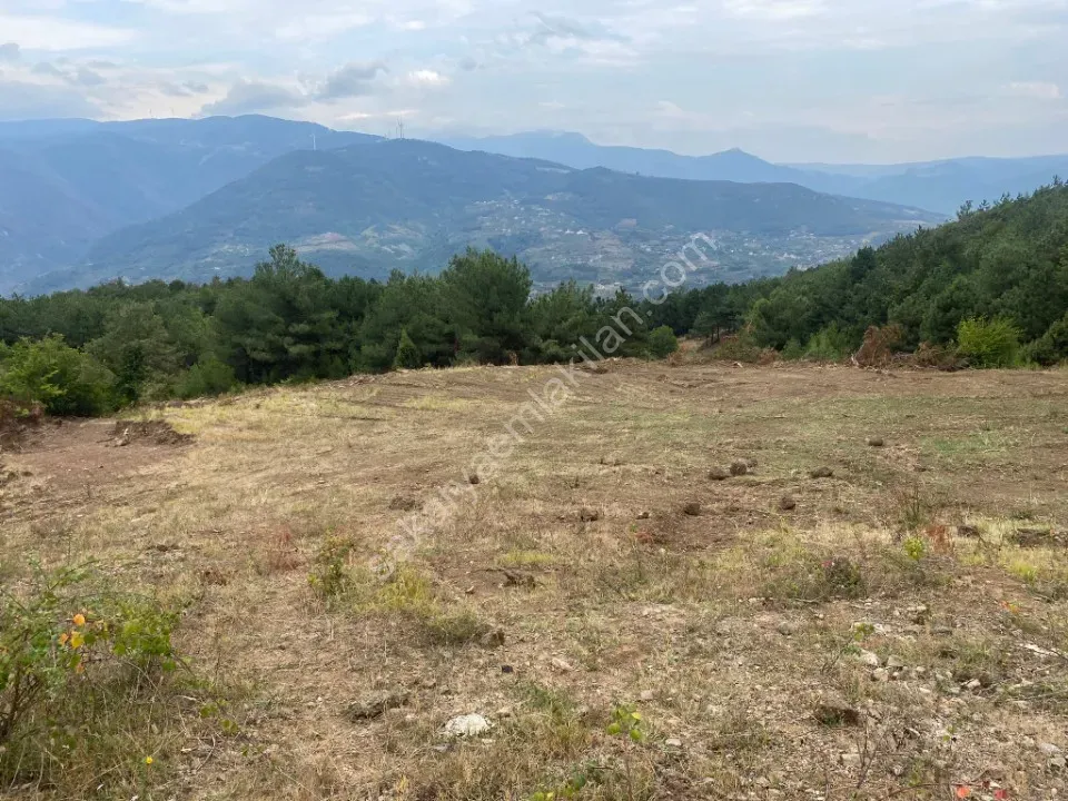 GEYVE KÖPRÜBAŞI MAHALLESİNDE 1845 m² MANZARALI TİNY HOUSE VE BUNGALOW İÇİN İDEAL YATIRIMLIK ARAZİ