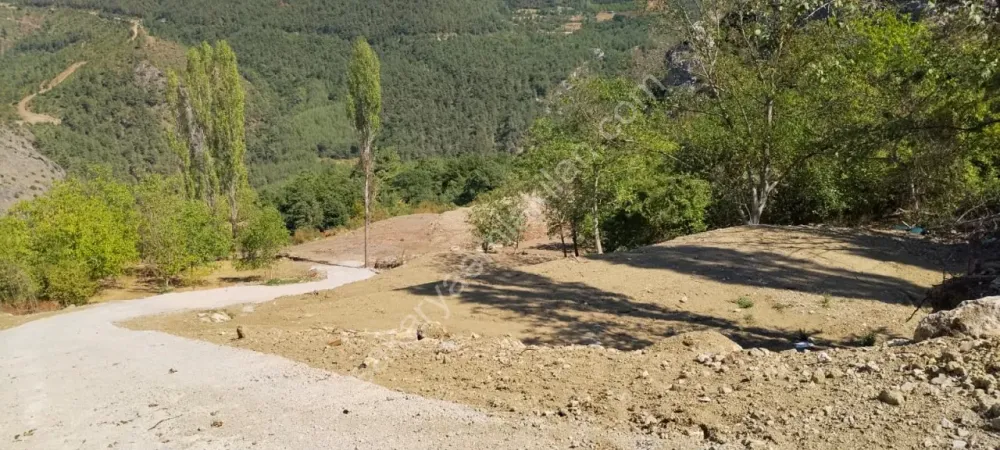 GEYVE AHİBABA KÖYÜ 600 m² HAZIR VİLLA PROJELİ LANSMANA ÖZEL ARSA
