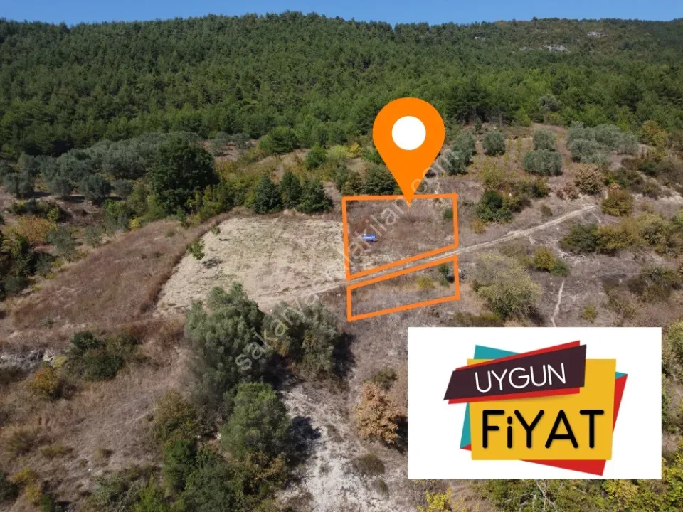 GEYVE ALİFUATPAŞA MERKEZE 3 KM KONTEYNER İÇİN İDEAL 153 m² MANZARALI YOLU SUYU VAR