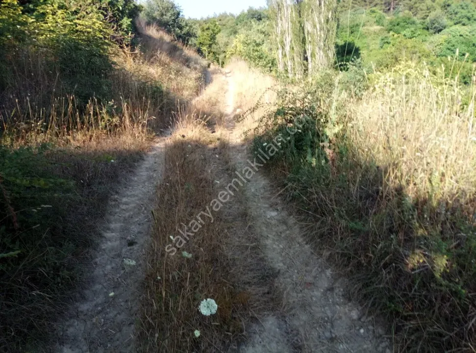 GEYVE ALİFUATPAŞA MERKEZE 3 KM KONTEYNER İÇİN İDEAL 153 m² MANZARALI YOLU SUYU VAR