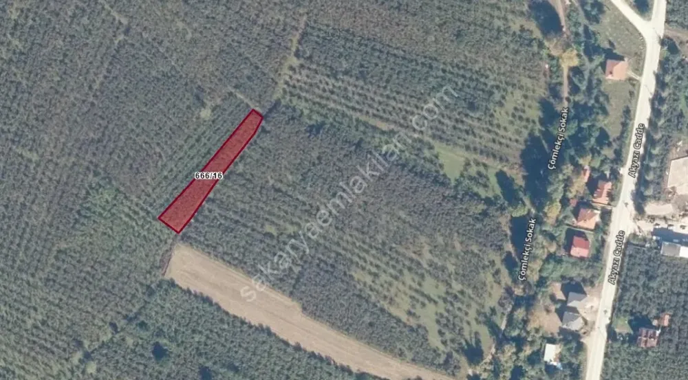 AKYAZI KÜÇÜCEK’TE YATIRIM DEĞERİ YÜKSEK 1340 m² FINDIK BAHÇESİ !