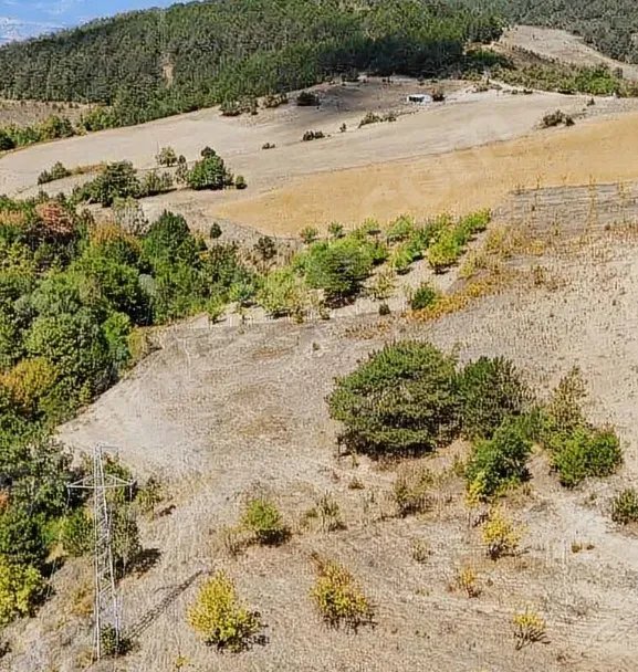 GEYVE AHİBABA'DA 4437 m² RESMİ YOLA CEPHELİ YATIRIMLIK ARAZİ